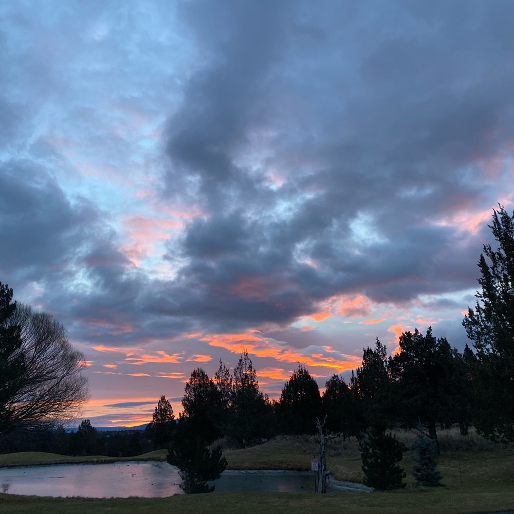 Meet your Posher, Patricia